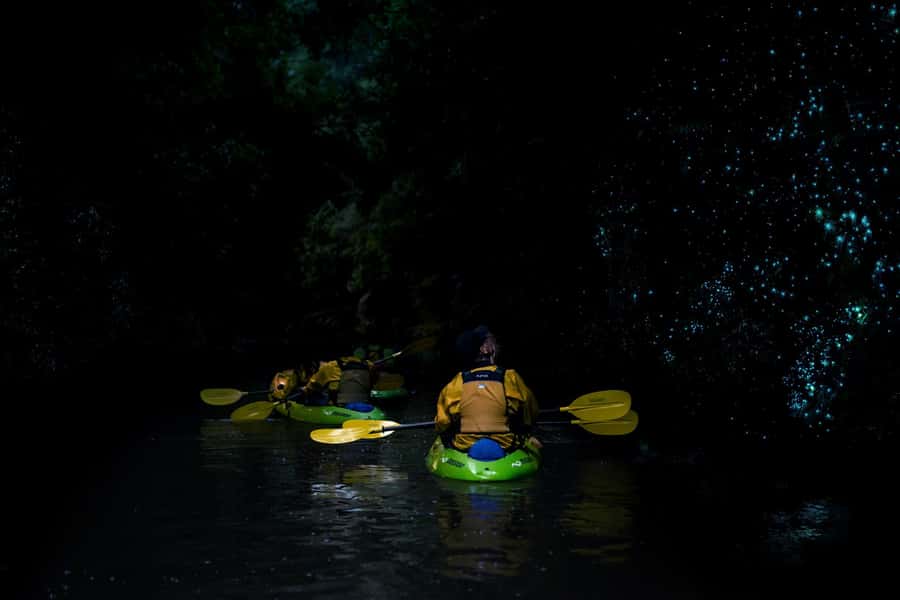 Lake Karapiro: Evening Kayak Glowworm Tour - What the $89 price includes