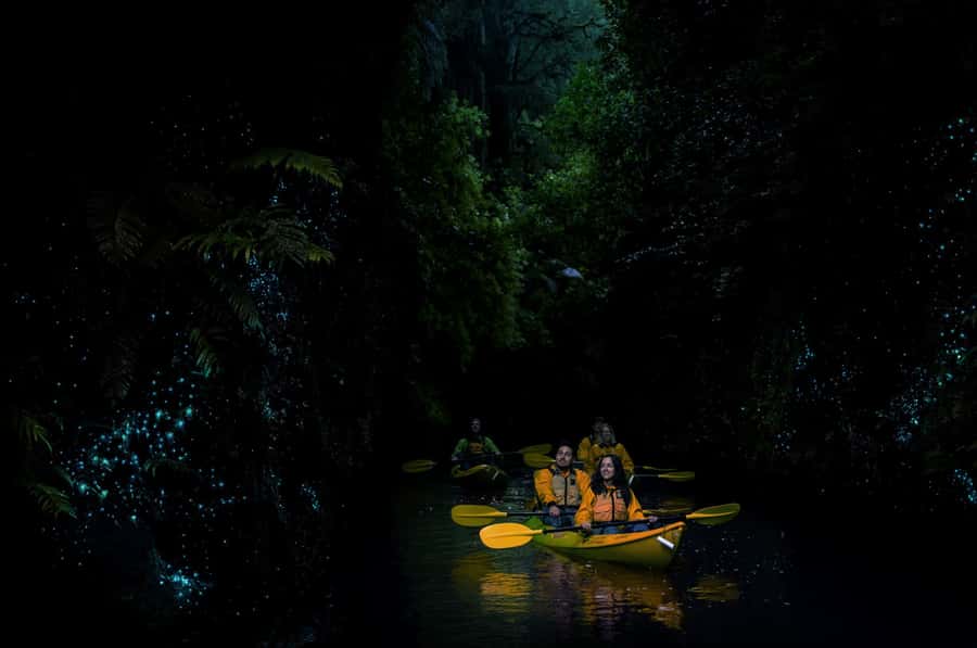 Lake Karapiro: Evening Kayak Glowworm Tour - Who should book this kayak tour