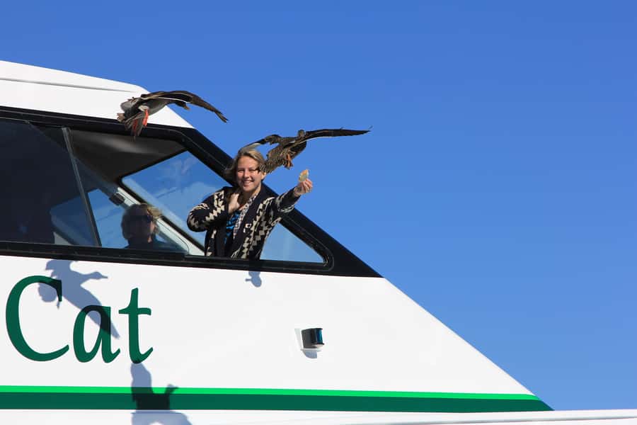 Lake Taupo: 1.5-Hour Maori Rock Carvings 5:00 PM Cruise - Practical tips before you go