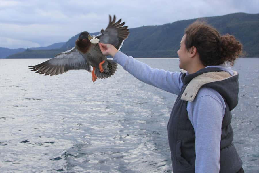 Lake Taupo: Maori Rock Carvings 10.30 AM 1.5-Hour Cruise - What happens in poor weather