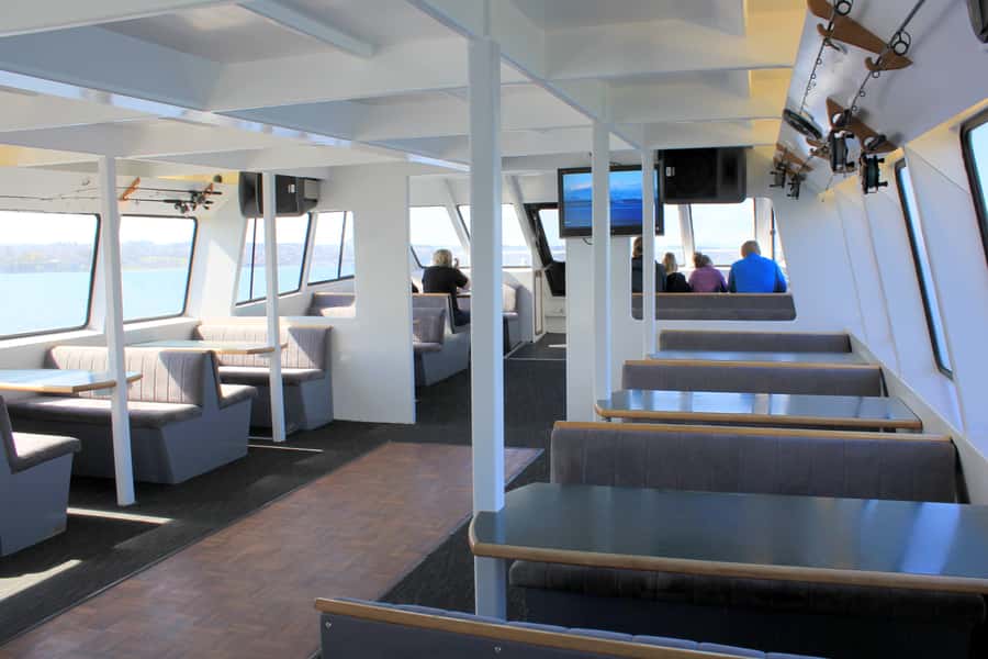 Lake Taupo: Maori Rock Carvings 8.30 AM 1.5-Hour Cruise - A Warm Drink, Muffin, and Duck Feeding