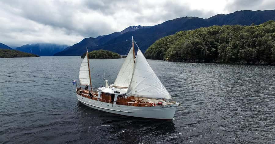 Lake Te Anau: 3-Hour Boat Cruise with Guided Walk - Who should book this Lake Te Anau cruise?