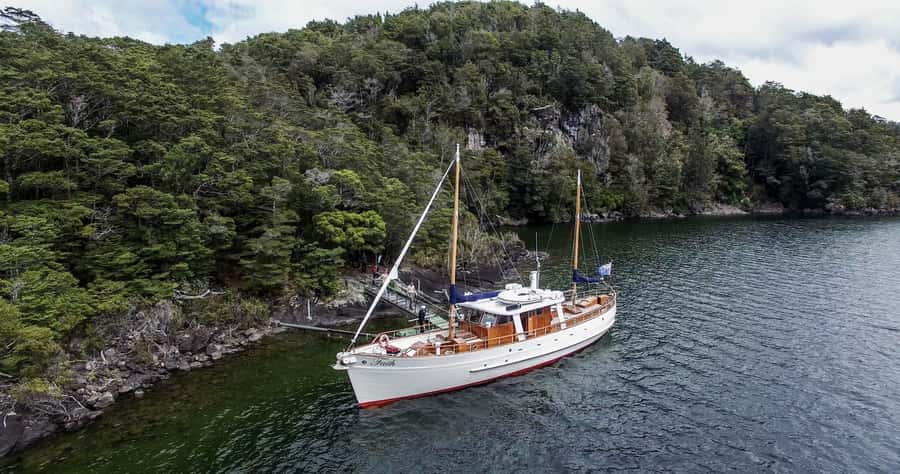 Lake Te Anau: 3-Hour Boat Cruise with Guided Walk - Is $86 good value?