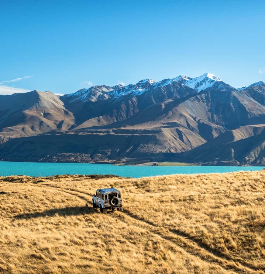 Lake Tekapo: Glaciers, Mountains, and Landscapes Scenic Tour - Sheep, red deer, glaciers, and working country