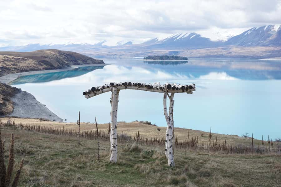 Lake Tekapo High Country Farm Tour (Carbon Positive) - Meeting the farm animals