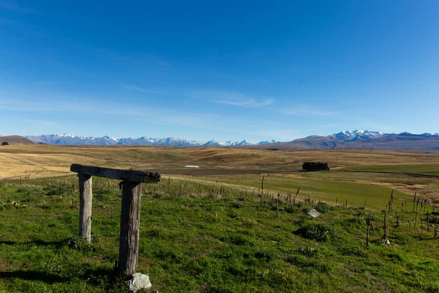 Lake Tekapo High Country Farm Tour (Carbon Positive) - Merino sheep, Angus cattle, and working country