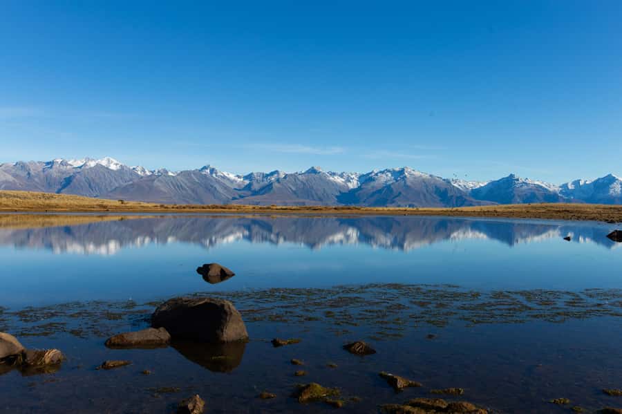 Lake Tekapo High Country Farm Tour (Carbon Positive) - Swan Tarn and the Black Stilt