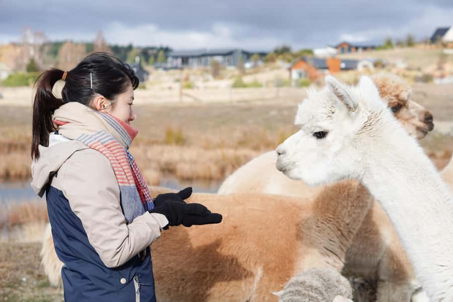 Lake Tekapo High Country Farm Tour (Carbon Positive) - Setting out from D’Archiac Drive