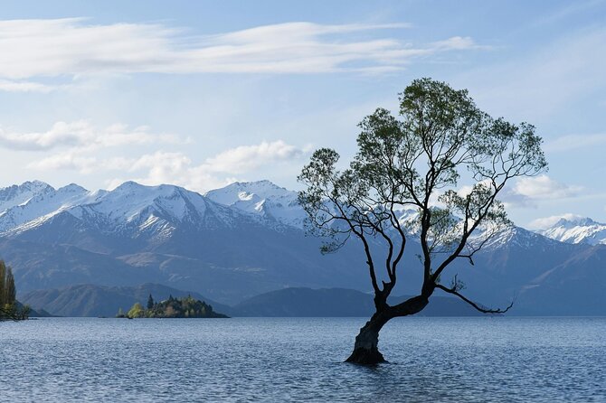 Lake Tekapo Private Day Trip from Queenstown - Kawarau Suspension Bridge and a famous jump