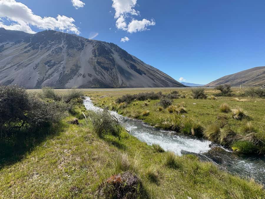 Lake Tekapo Scenic 4WD Cass Valley Wilderness Tour - Stream crossings and roaming Merino sheep