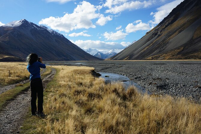 Lake Tekapo Scenic Wilderness Cass Valley Tour - Merino sheep and the working high country