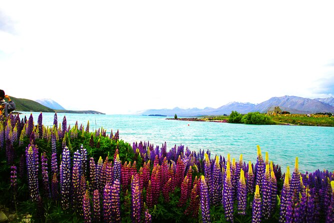 Lake Tekapo Stargazing & Mount Cook 2-Day Tour from Christchurch - Burkes Pass, alpacas, and Fairlie pie