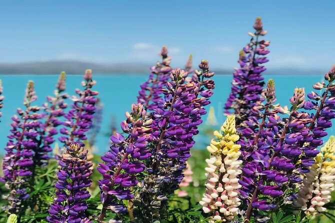 Lake Tekapo to Mt Cook One-Way Small Group Tour - Leaving Lake Tekapo behind