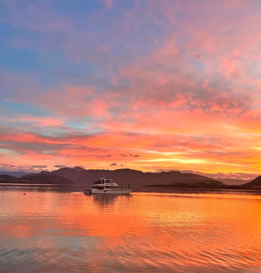 Lake Wanaka Happy Hour Cruise - Wine, beer, and cheese on board