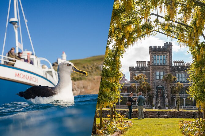 Larnach Castle & Otago Wildlife Cruise from Dunedin - Why this castle and cruise combination works