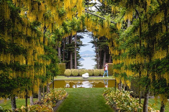 Larnach Castle & Otago Wildlife Cruise from Dunedin - From castle grounds to harbour wildlife