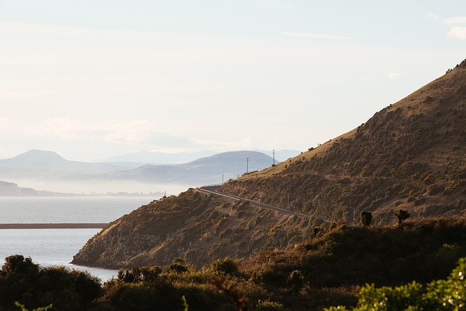Larnach Castle & Otago Wildlife Cruise from Dunedin - Who should book this Dunedin outing