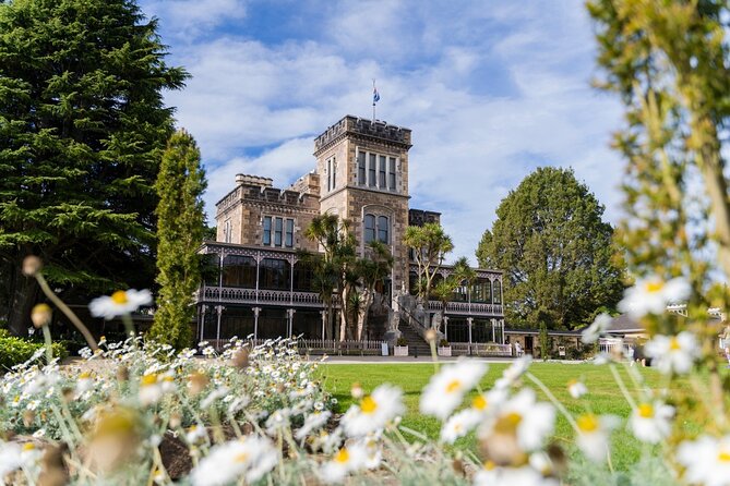 Larnach Castle & Otago Wildlife Cruise from Dunedin - The drive across the Otago Peninsula