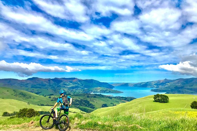 Lava Loop- Guided electric mountain bike tour in Akaroa - Key points about the Lava Loop