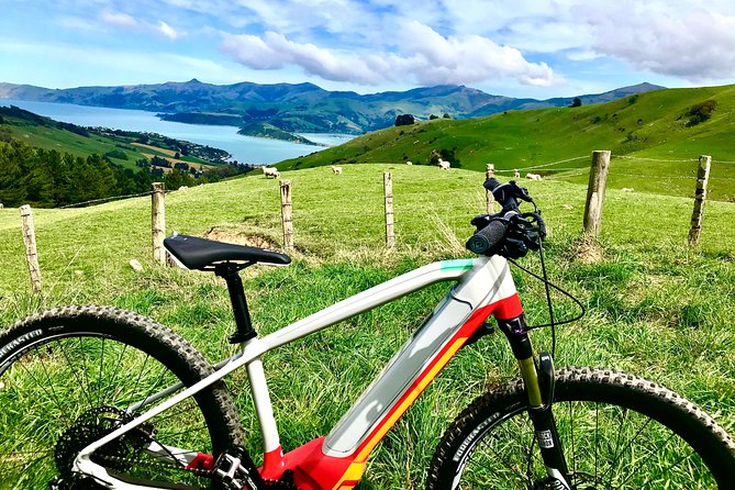Lava Loop- Guided electric mountain bike tour in Akaroa - Why the Lava Loop is a good fit for Akaroa