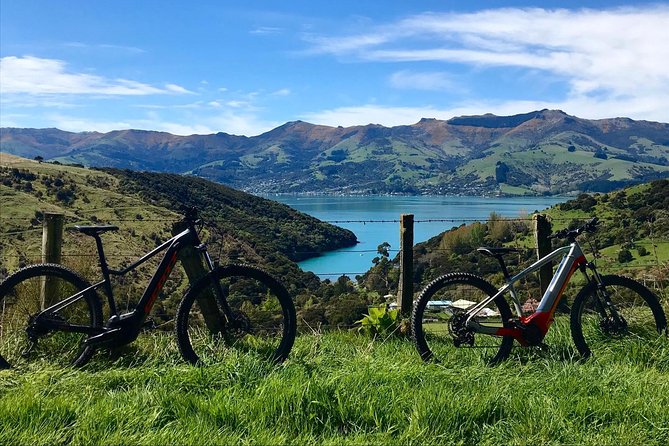Lava Loop- Guided electric mountain bike tour in Akaroa - Timing, meeting point, and cruise-port planning