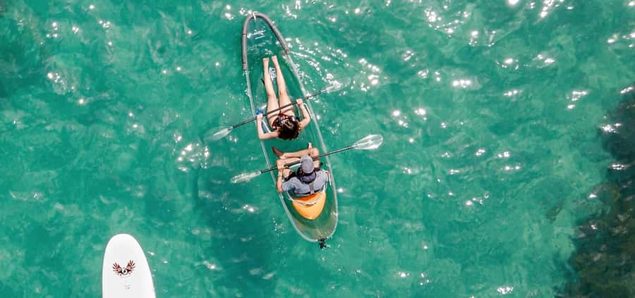 Leigh: Goat Island Clear Kayak Rental - Key points to know before paddling