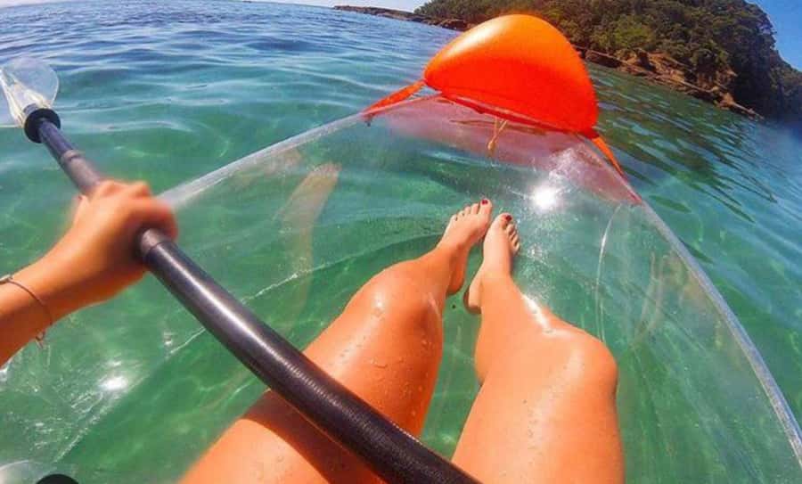 Leigh: Goat Island Clear Kayak Rental - Why the clear kayak changes the Goat Island outing