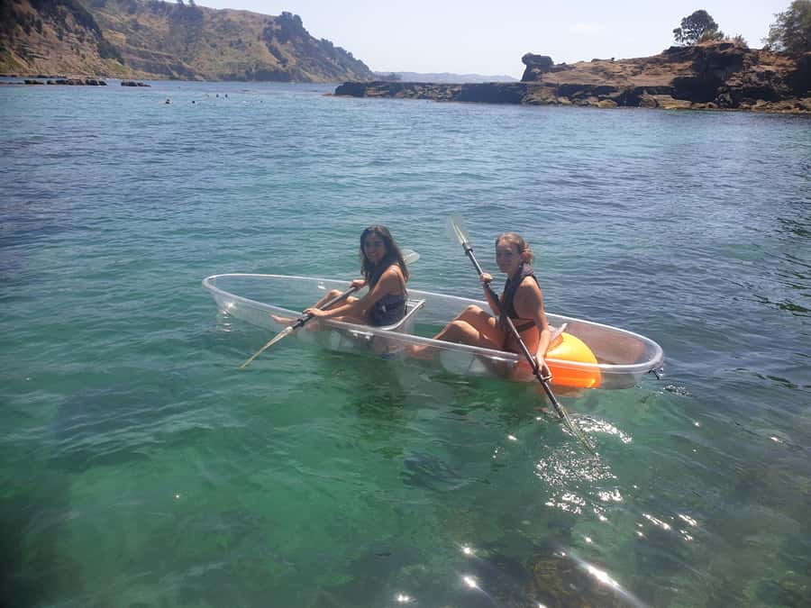 Leigh: Goat Island Clear Kayak Rental - Is $107 good value for one hour?