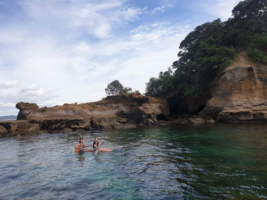 Leigh: Goat Island Clear Kayak Rental - Who will enjoy this most?
