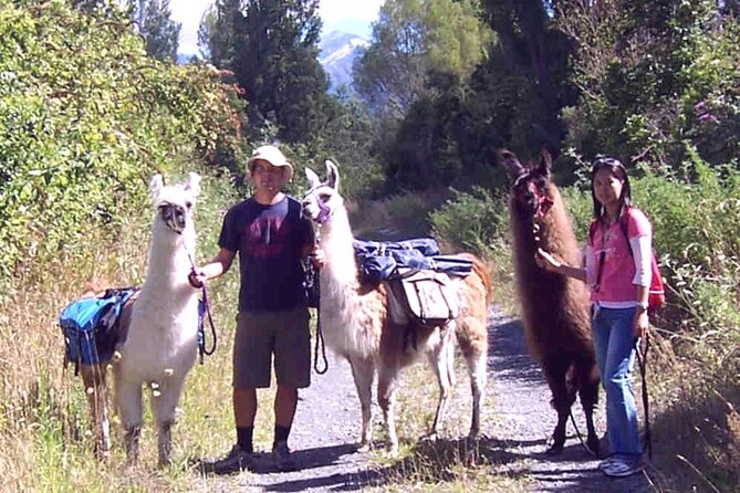Llama Trek (Taster) - Kowhai River Valley and Native Woodland Tour - Protected Woodland and Native Birdsong