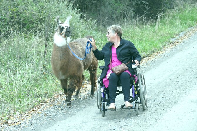 Llama Trek (Taster) - Kowhai River Valley and Native Woodland Tour - Meeting at Kowhai Ford Road