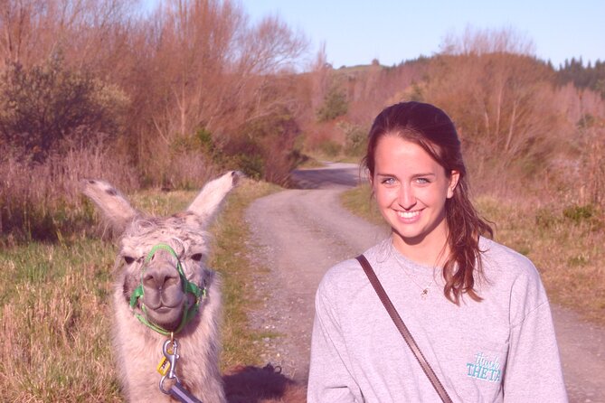 Llama Trek (Taster) - Kowhai River Valley and Native Woodland Tour - Kevin’s Practical Llama Lessons