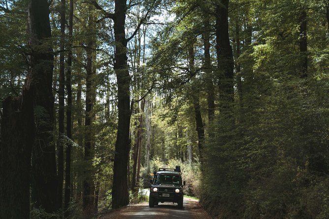 Lord of Rings Tour around Queenstown Lakes by 4WD (full day) - What the small group changes