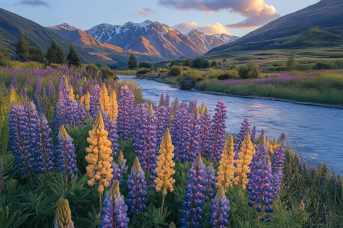 Lord of the Rings Scenic Half Day Tour from Queenstown - Twelve Mile Delta adds a gentle walk