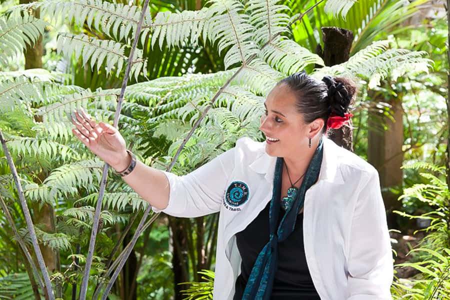 Luxury Auckland & West Coast Day Tour with Maori Guide - Parnell and Tamaki Drive show Auckland’s polished side