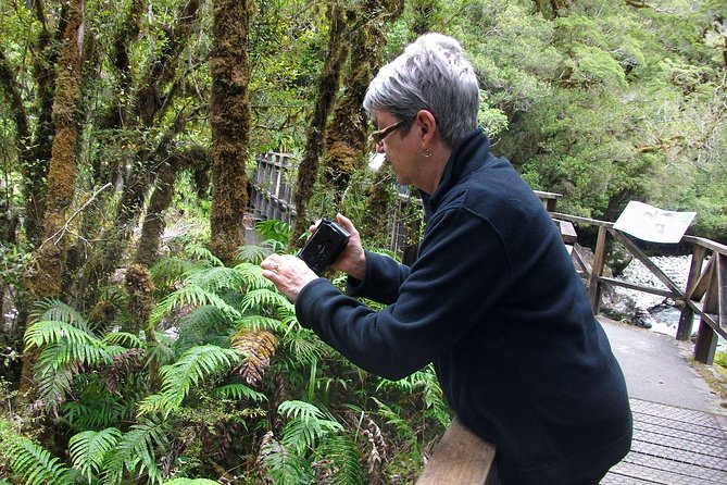 Luxury Milford Sound Coach and Scenic Cruise - The Milford Sound cruise is the payoff