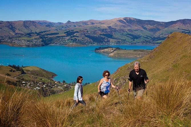 Luxury Private Guided Crater Rim Walk on Banks Peninsula - Key things to know before you book