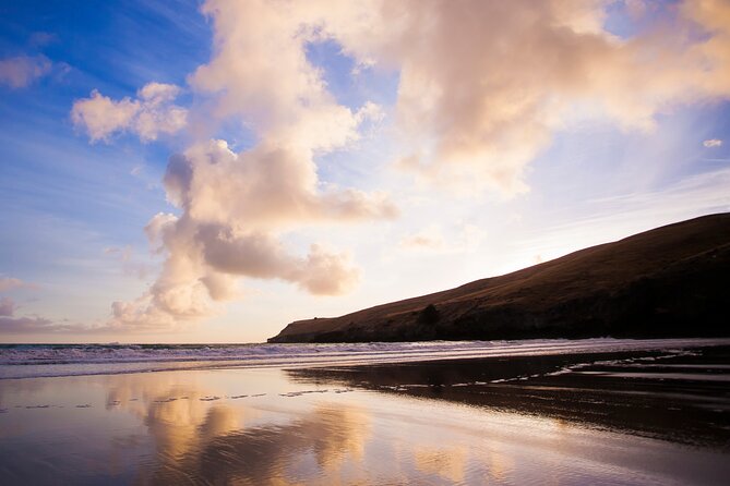 Luxury Private Guided Crater Rim Walk on Banks Peninsula - What the private guide changes