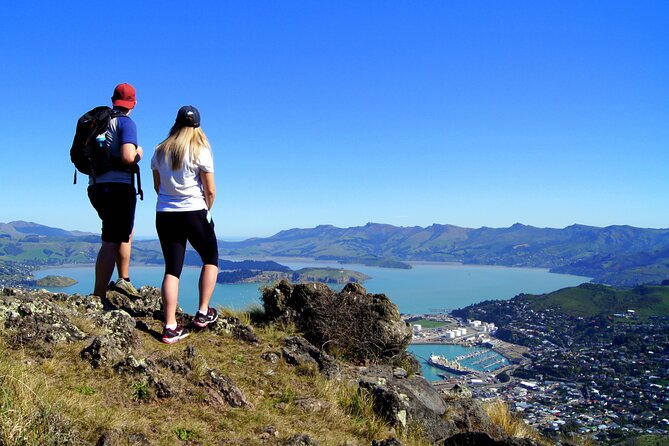 Luxury Private Guided Crater Rim Walk on Banks Peninsula - Timing, fitness, and weather