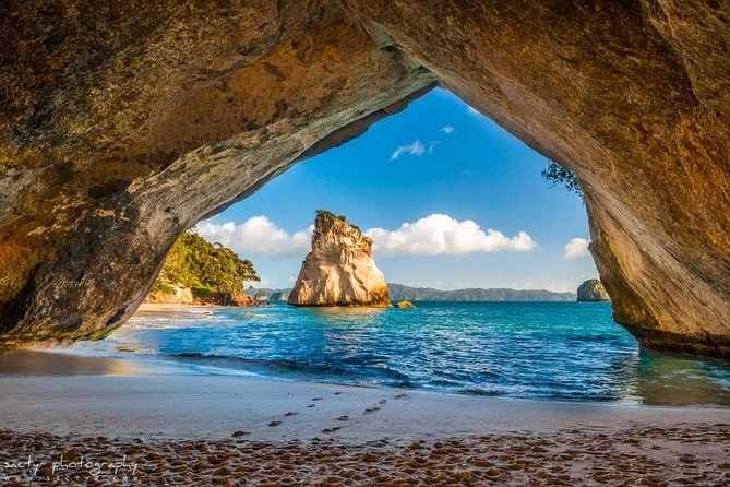 Luxury Private Transfers: Auckland Airport to City - Timing, flight delays, and operating hours