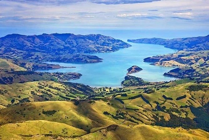 Lyttelton Cruise Excursions: Christchurch Sightseeing with Sheep Farm - Riverside Market and a short lunch stop