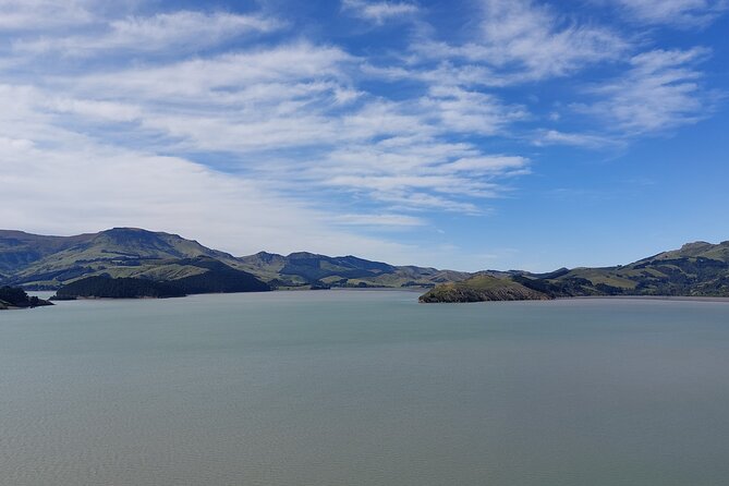 Lyttelton Shore Excursion: Christchurch Sightseeing with Antarctic Center - How the guides shape the day
