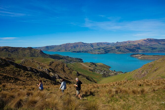 Lyttelton Shore Excursion - Guided Walking Tour and Picnic - Coastal history at Scott’s Hut and Godley Head