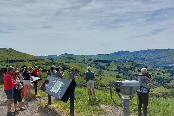 Lyttelton Shore Excursion: Twin Harbour Tour (Lyttelton & Akaroa) - Why the twin-harbor route works so well