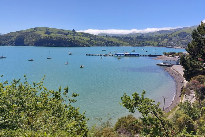 Lyttelton Shore Excursion: Twin Harbour Tour (Lyttelton & Akaroa) - Lunch, cheese, and the real cost of the day