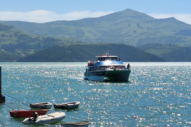 Lyttelton Shore Excursion: Twin Harbour Tour (Lyttelton & Akaroa) - Who will enjoy this Banks Peninsula day