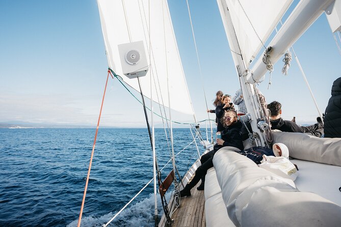 Maori Rock Carvings Eco Sailing Taupo - Price and the value of two and a half hours