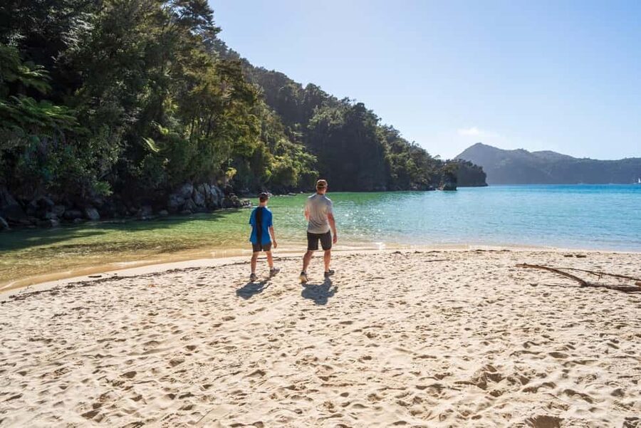 Marahau: Abel Tasman Kayaks Kayak and Walk - Morning on the water from Marahau