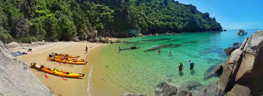 Mārahau: Abel Tasman Marine Reserve Kayak Tour - Wildlife, dolphins, and responsible distance