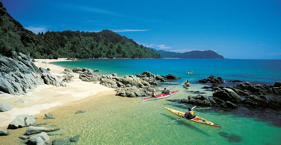 Mārahau: Abel Tasman Marine Reserve Kayak Tour - Who should book this Abel Tasman day